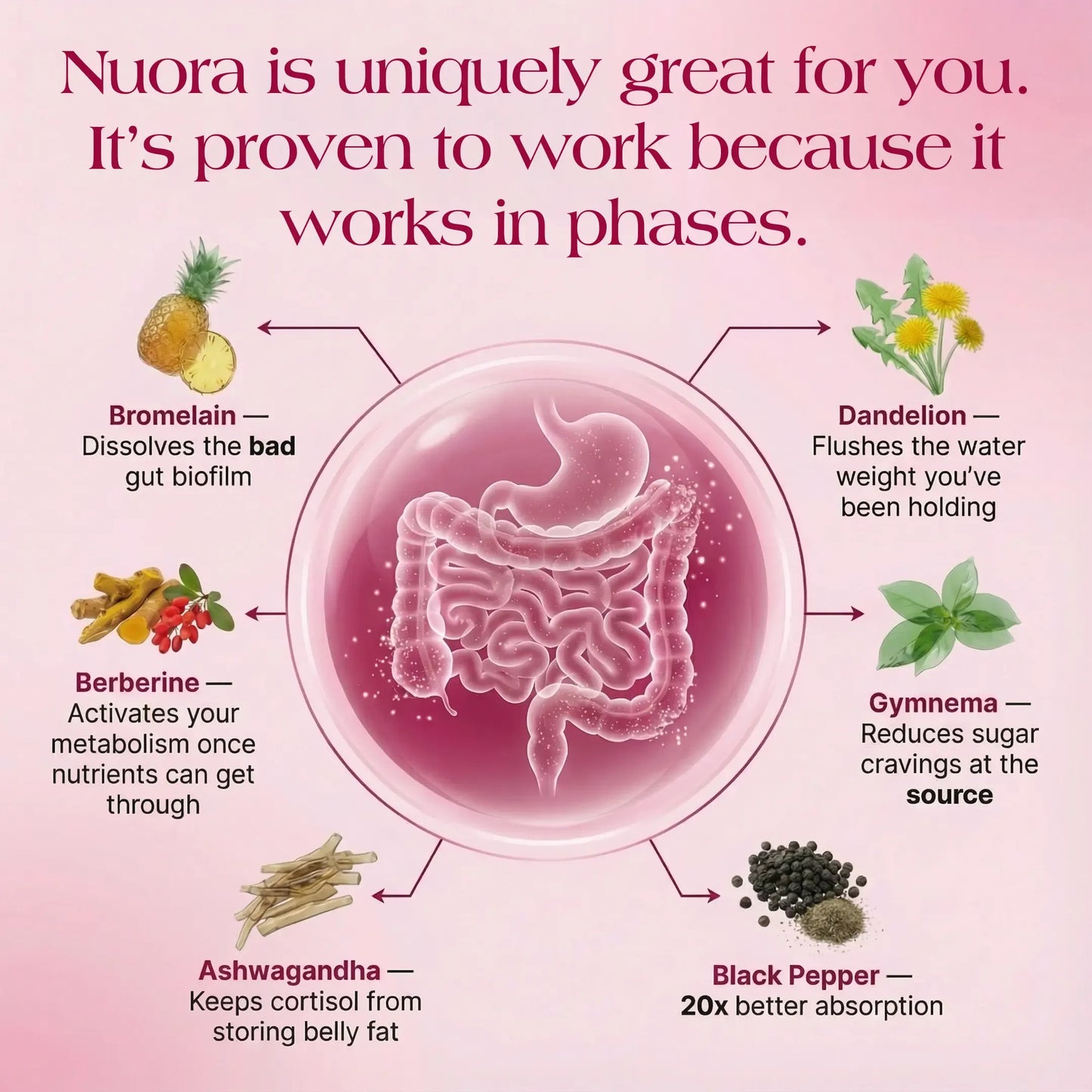 Nuora Gut Biofilm Ritual